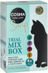 Cosma Soup Trial Mix Box 4x40 g