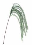 Bizzotto Set 12 crengute artificiale verzi 45 x 140 cm (0170040)