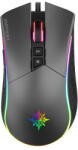 INCA IMG-GT19 Mouse