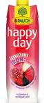 Happy Day Immun Iron 55% 1 l