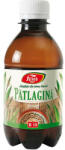 Fares Bio Vital Sirop Patlagină, R10, 250 ml, Fares