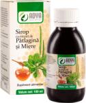Adya Green Pharma Sirop de pătlagină, cimbru și miere, 100 ml, Adya