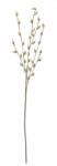 Bizzotto Set 8 crengute artificiale 60x126 cm (0172608)