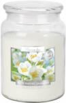 BISPOL Blooming Jasmine 500 g