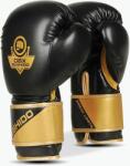 Dbx Bushido Mănuși de box DBX BUSHIDO B-2v10 negru-auriu