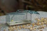 Nature Élvefogó patkánycsapda drótkalitka műanyag alappal (6060105)