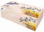 Linteo Paper Tissues Four-ply Paper, 70 pcs per box papírzsebkendő balzsammal 70 db