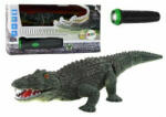 LeanToys Crocodil RC interactiv de jucarie, cu telecomanda pentru copii in forma de lanterna, 12436 (566750) - babyneeds