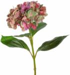 Leonardo POESIA hortensia 54cm, rózsaszín