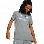 PUMA Bmw Mms Ess Logo Tee (536246 03)