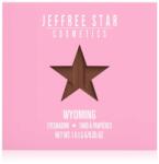 Jeffree Star Cosmetics Artistry Single fard ochi culoare Wyoming 1, 5 g