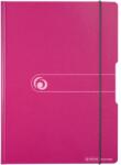 Herlitz Clipboard dublu A4 Herlitz EOTG, Mov (11226628)
