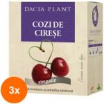 DACIA PLANT Set 3 x Ceai de Cozi de Cirese, 50 g, Dacia Plant