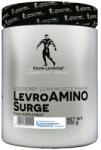 Kevin Levrone Signature Series amino surge 500 g