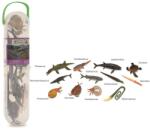 CollectA Cutie cu 12 minifigurine Animale marine preistorice Figurina