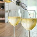  Dispozitiv racire vin cu aerator (BG-V0101054) Suport sticla vin