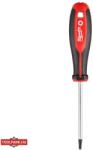 Milwaukee Torx T25x100 (4932471802) Surubelnita