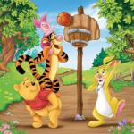Ravensburger Puzzle Winnie The Pooh, 3X49 Piese (RVSPC05187) - ookee Puzzle