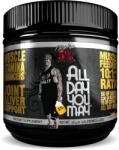 rich piana 5 percent all day you may 30 servings 465g (MGRO38165)