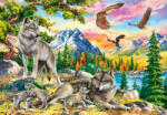 Castorland C-104970 - Wolf Family and Eagles - 1000 db-os puzzle (C-104970)