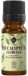 Elemental Ulei esential de Eucalipt Globulus Bio, 10 ml, Ellemental