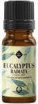 Elemental Ulei esential de Eucalipt Radiata, 10 ml, Ellemental
