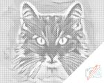  PontPöttyöző - Macskanézés 2 Méret: 40x50cm, Keretezés: Keret nélkül (csak a vászon), Szín: Fekete