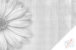  PontPöttyöző - Sárga gerbera Méret: 40x60cm, Keretezés: Keret nélkül (csak a vászon), Szín: Piros