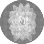  PontPöttyöző - Feledésbe merült Mandala virág Méret: 50x50cm, Keretezés: Kerek keret, Szín: Kék