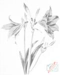  PontPöttyöző - Vintage liliom Méret: 30x40cm, Keretezés: Keret nélkül (csak a vászon), Szín: Piros