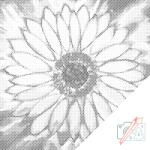  PontPöttyöző - Ragyogó napraforgó Méret: 50x50cm, Keretezés: Keret nélkül (csak a vászon), Szín: Zöld