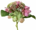 Leonardo POESIA hortensia 18cm, rózsaszín (LEO-018683)