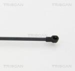 TRISCAN 871017219 Amortizor portbagaj