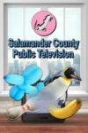 Tinzone Games Salamander County Public Television (PC)