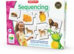 The Learning Journey Puzzle potriveste secventele (TLJ419212)