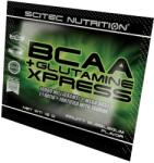 Scitec Nutrition BCAA+Glutamine Xpress italpor 10x12 g