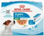 Royal Canin Mini Puppy 4x85 g