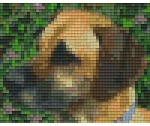 Pixelhobby 801186 Dog Kenya szett (12, 7x10, 1cm) (801186)