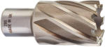 Milwaukee 4932343285 Burghiu