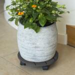 Nature Cărucior pentru plante, Ø30 cm, antracit, lemn 6070235 (446401)