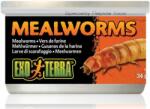 Exo Terra Mealworms - Viermi de făină fierți moi pentru reptile - 34 g
