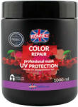 RONNEY Color Repair mask1 l