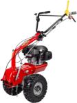 Eurosystems P70 Evo Briggs 850 (986600000)