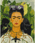 Brushme Számozott kifestő készlet, feszített vásznon, 40x50 cm - Frida Kahlo: Önarckép