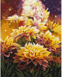 Brushme Számozott kifestő készlet, feszített vásznon, 40x50 cm - Anna Steshenko: Kozmikus virágok