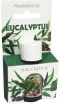 Admit Ulei aromat - Admit Oil Eucalyptus 10 ml