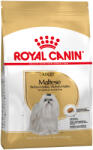Royal Canin 2x1, 5 kg Royal Canin Maltese Adult száraz kutyatáp