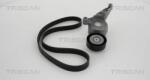 TRISCAN Set curea transmisie cu caneluri TRISCAN 8642 29001 (8642 29001)