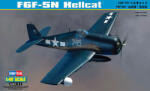 HobbyBoss F6F-5N Hellcat 1: 48 (80341)