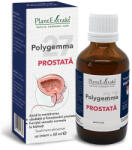 PlantExtrakt Polygemma - Prostata (nr. 27) - 50 ml